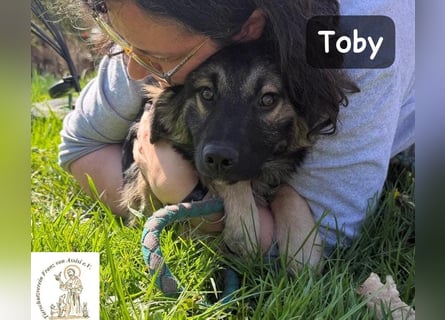 Toby hat Pläne … große!