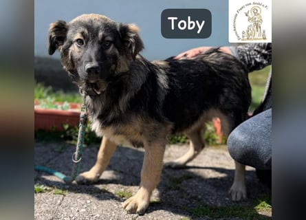 Toby hat Pläne … große!