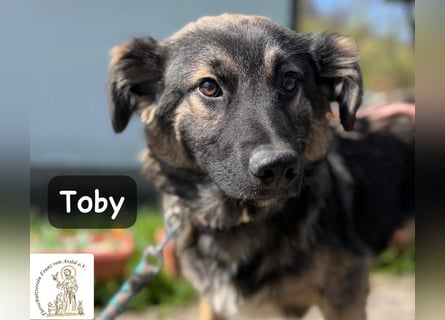 Toby hat Pläne … große!