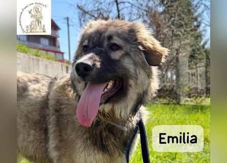 Emilia – mit Klarheit, Herz und Verantwortung durchs Leben!