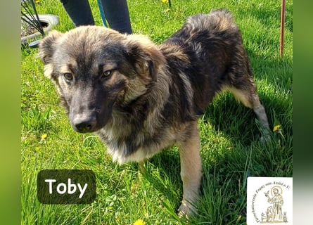 Toby hat Pläne … große!