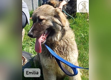 Emilia – mit Klarheit, Herz und Verantwortung durchs Leben!