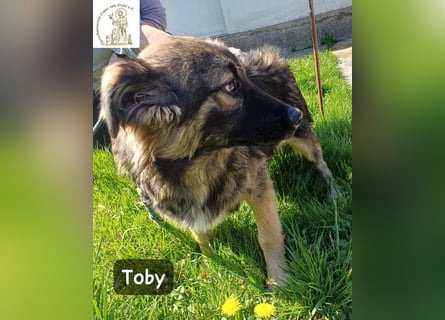 Toby hat Pläne … große!