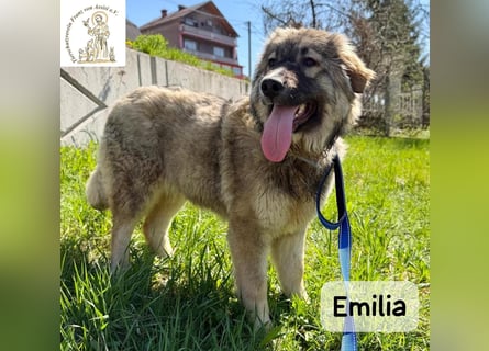 Emilia – mit Klarheit, Herz und Verantwortung durchs Leben!