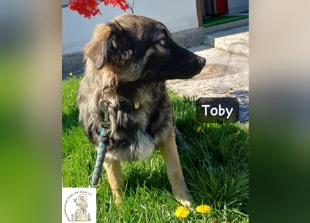 Toby hat Pläne … große!
