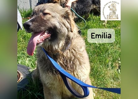 Emilia – mit Klarheit, Herz und Verantwortung durchs Leben!