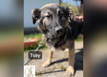 Toby hat Pläne … große!