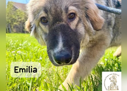 Emilia – mit Klarheit, Herz und Verantwortung durchs Leben!