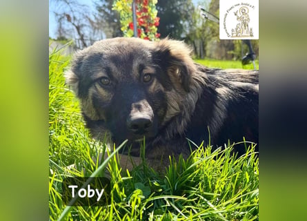 Toby hat Pläne … große!