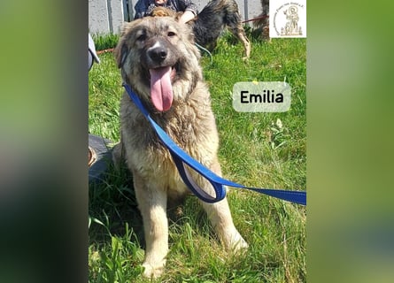 Emilia – mit Klarheit, Herz und Verantwortung durchs Leben!
