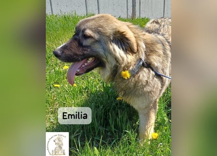 Emilia – mit Klarheit, Herz und Verantwortung durchs Leben!