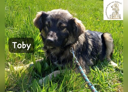 Toby hat Pläne … große!