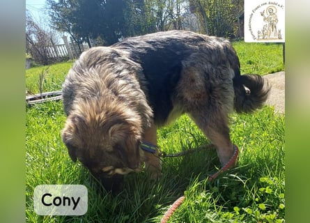 Cony – klug, klar, charakterstark!