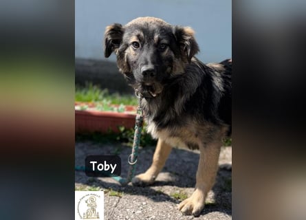 Toby hat Pläne … große!