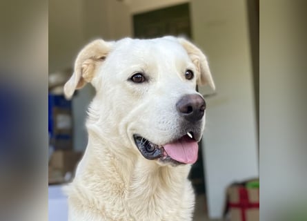 PACO - unser traumhaftes Riesenbaby