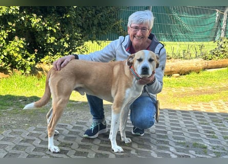 Lounis - großer Kuschelbär - Tierhilfe Franken e.V.