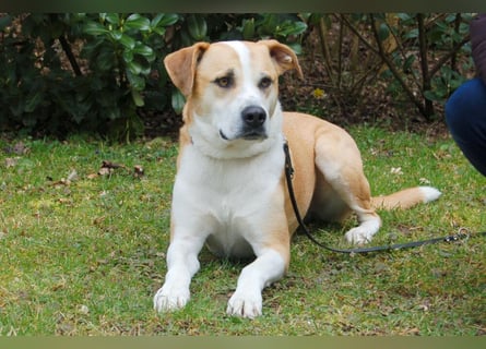 Lounis - großer Kuschelbär - Tierhilfe Franken e.V.