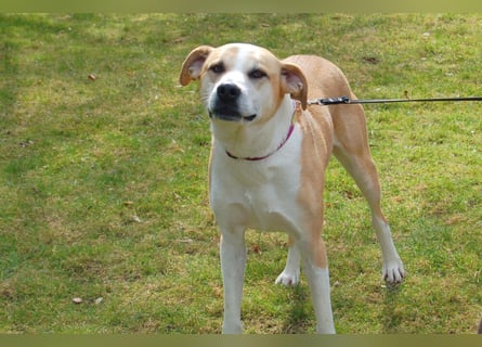 Lounis - großer Kuschelbär - Tierhilfe Franken e.V.