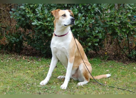 Lounis - großer Kuschelbär - Tierhilfe Franken e.V.