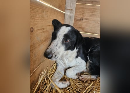 Aramis sucht seinen Platz zum Ankommen