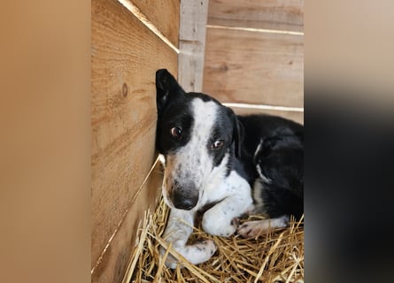 Aramis sucht seinen Platz zum Ankommen