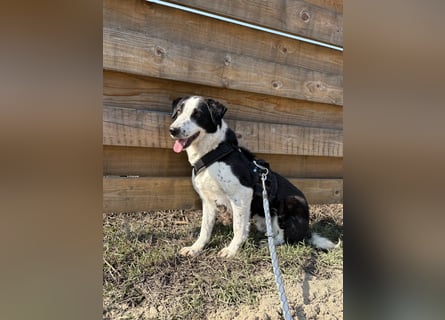 Aramis sucht seinen Platz zum Ankommen