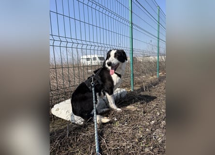 Aramis sucht seinen Platz zum Ankommen