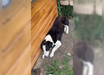 Aramis sucht seinen Platz zum Ankommen