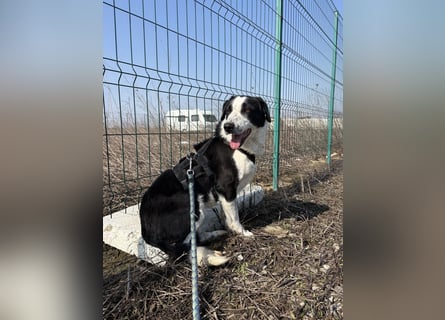 Aramis sucht seinen Platz zum Ankommen