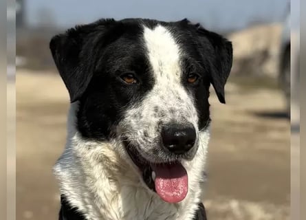 Aramis sucht seinen Platz zum Ankommen