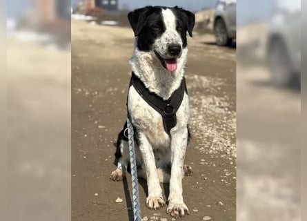 Aramis sucht seinen Platz zum Ankommen
