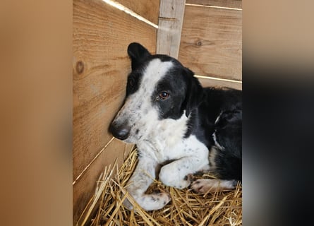 Aramis sucht seinen Platz zum Ankommen
