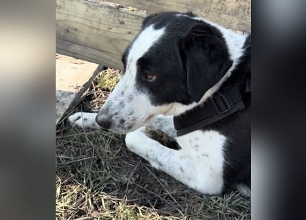 Aramis sucht seinen Platz zum Ankommen