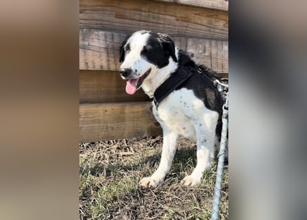 Aramis sucht seinen Platz zum Ankommen