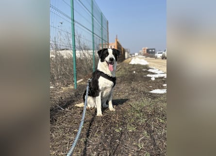Aramis sucht seinen Platz zum Ankommen