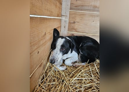 Aramis sucht seinen Platz zum Ankommen