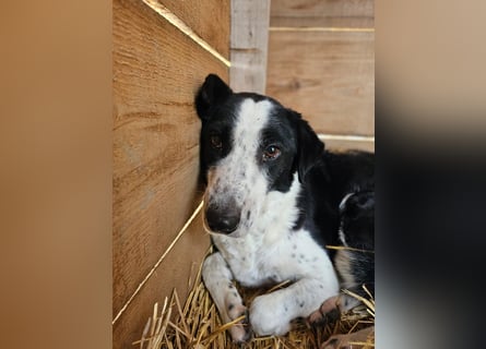 Aramis sucht seinen Platz zum Ankommen