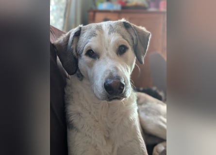 Ciro: dieses Mal für immer