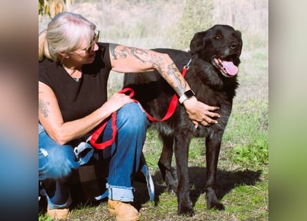 Mike – ein Goldschatz