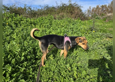 Charlotte: klein, aber oho!