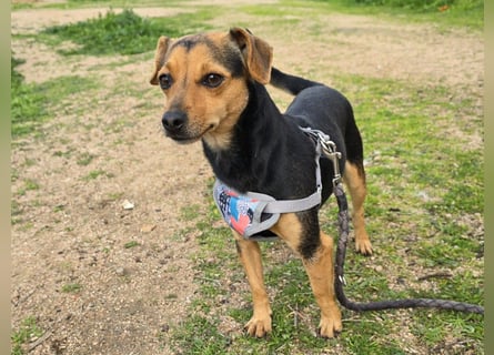 Charlotte: klein, aber oho!