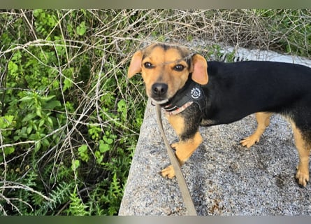 Charlotte: klein, aber oho!