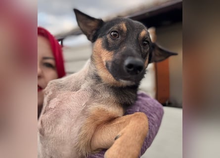 LOKI - kleiner lieber Boy sucht Familie