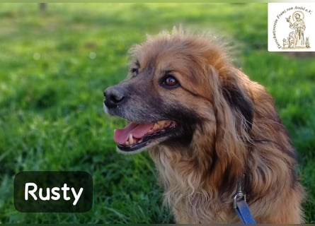 Rusty – Profi im Glücklichsein!
