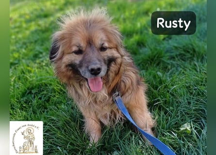 Rusty – Profi im Glücklichsein!