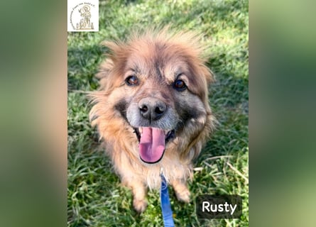 Rusty – Profi im Glücklichsein!