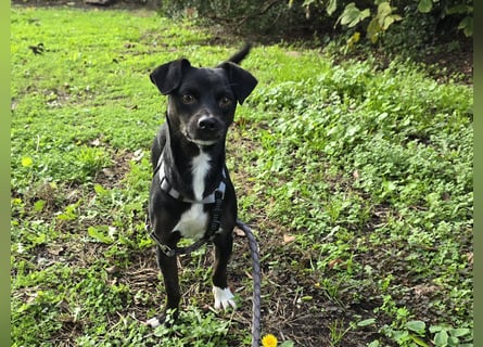 Nerino: ein Schatz für "überall mit dabei"