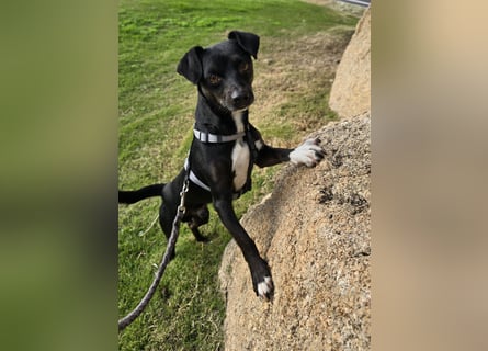 Nerino: ein Schatz für "überall mit dabei"