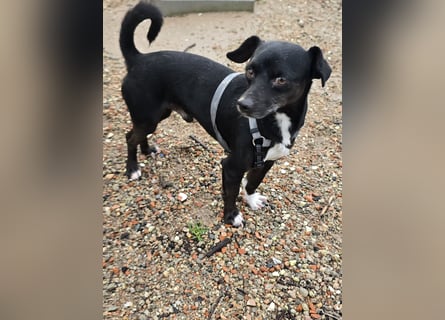 Nerino: ein Schatz für "überall mit dabei"