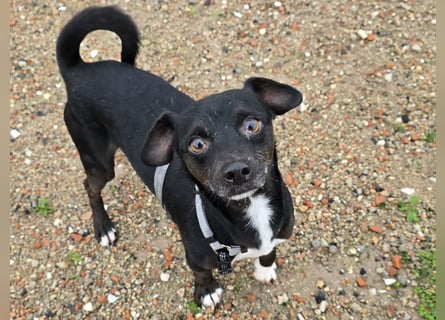 Nerino: ein Schatz für "überall mit dabei"